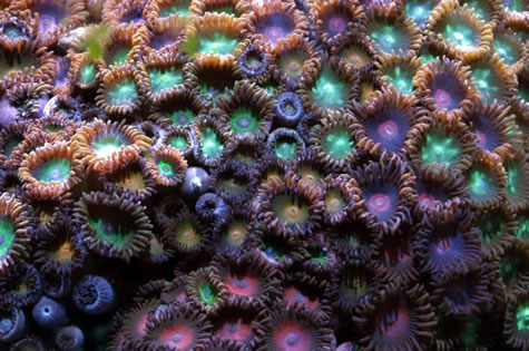 Very colorful indeed. Amazing how many colors can be on one rock isn't it?