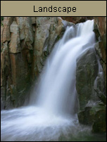 Orange County Creative - Landscape Photo Gallery