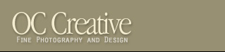 Web design by Gil Mora