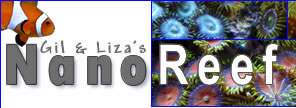 Welcome to Gil & Liza's Nano Reef Website!