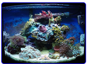 photo from January 20, 2003, courtesy oc-creative.com